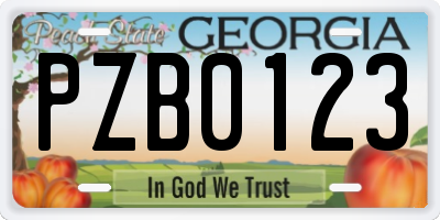 GA license plate PZB0123