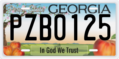 GA license plate PZB0125