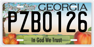 GA license plate PZB0126