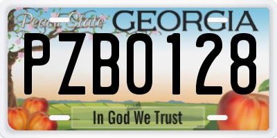 GA license plate PZB0128