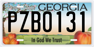 GA license plate PZB0131