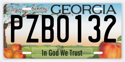 GA license plate PZB0132