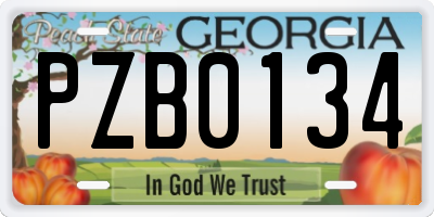 GA license plate PZB0134