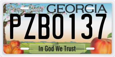 GA license plate PZB0137