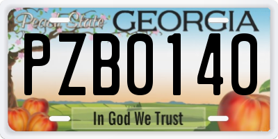 GA license plate PZB0140