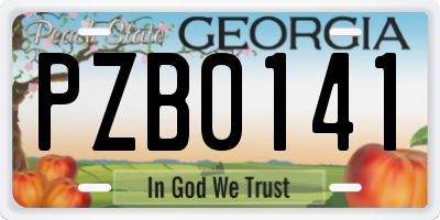 GA license plate PZB0141