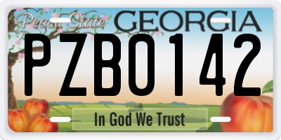 GA license plate PZB0142
