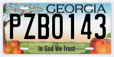 GA license plate PZB0143