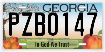 GA license plate PZB0147