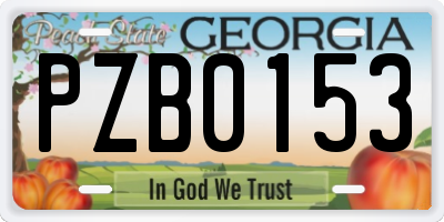 GA license plate PZB0153