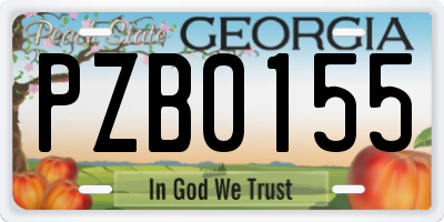 GA license plate PZB0155