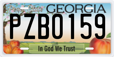 GA license plate PZB0159