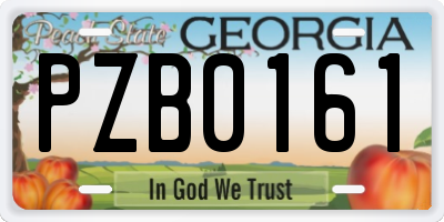 GA license plate PZB0161
