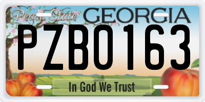 GA license plate PZB0163