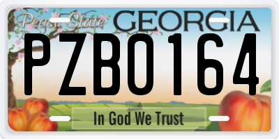 GA license plate PZB0164