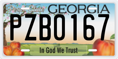 GA license plate PZB0167