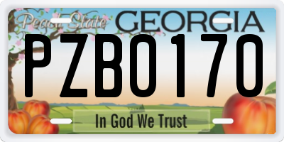 GA license plate PZB0170