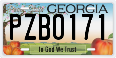 GA license plate PZB0171
