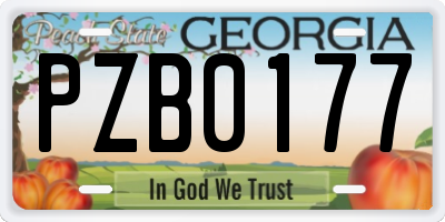 GA license plate PZB0177