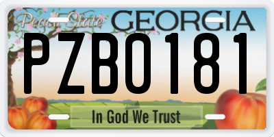 GA license plate PZB0181