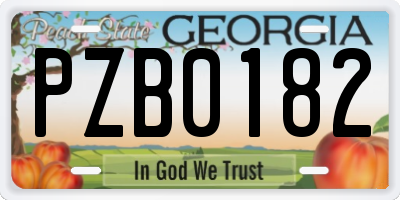 GA license plate PZB0182