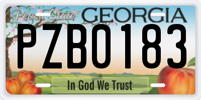 GA license plate PZB0183