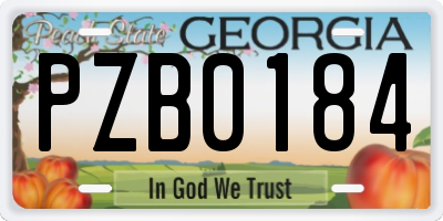 GA license plate PZB0184