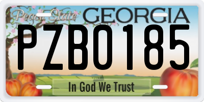 GA license plate PZB0185