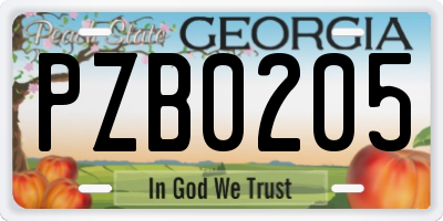 GA license plate PZB0205