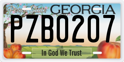 GA license plate PZB0207