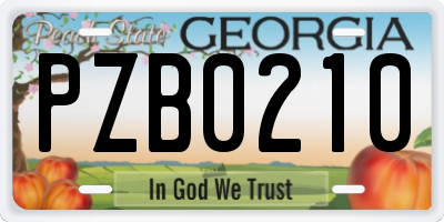 GA license plate PZB0210