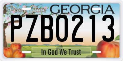 GA license plate PZB0213