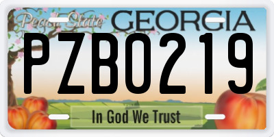 GA license plate PZB0219