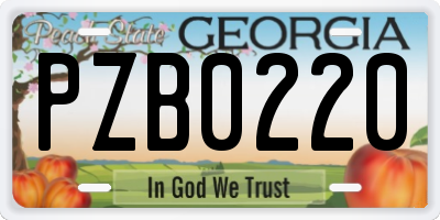GA license plate PZB0220
