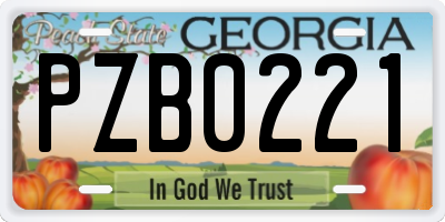 GA license plate PZB0221