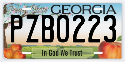 GA license plate PZB0223