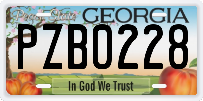 GA license plate PZB0228