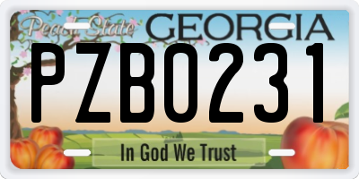 GA license plate PZB0231
