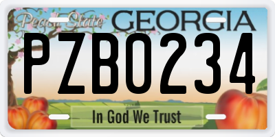 GA license plate PZB0234