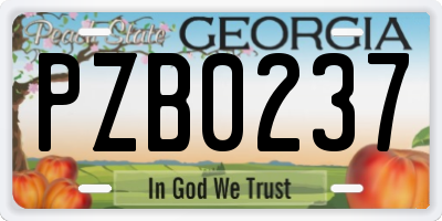 GA license plate PZB0237