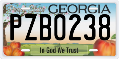 GA license plate PZB0238