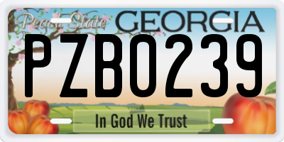 GA license plate PZB0239