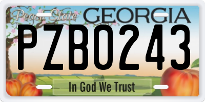 GA license plate PZB0243