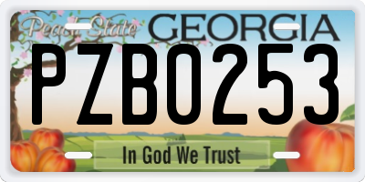 GA license plate PZB0253