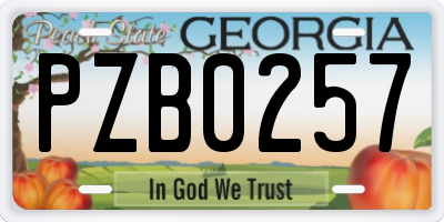 GA license plate PZB0257