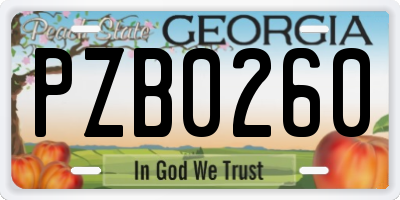 GA license plate PZB0260
