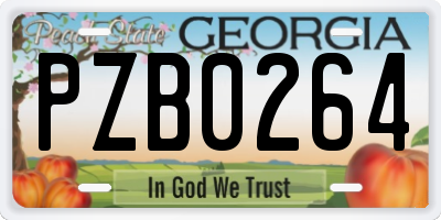 GA license plate PZB0264