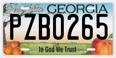 GA license plate PZB0265
