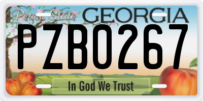GA license plate PZB0267