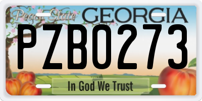 GA license plate PZB0273